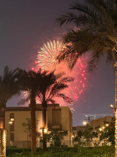 Fireworks over palm trees