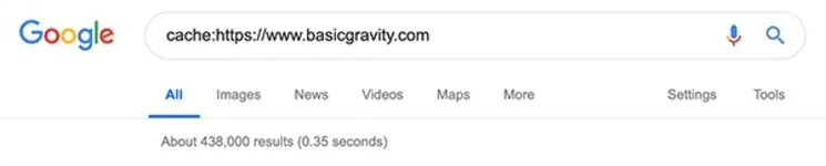 Google cache operator search