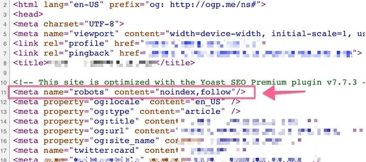 No-index tag in source code