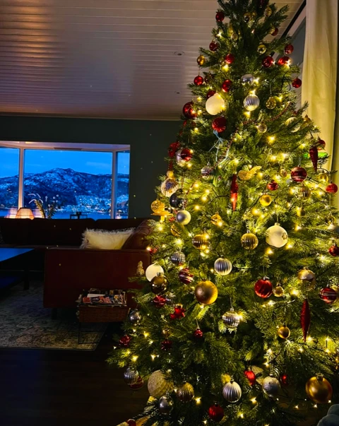 Christmas tree with Norwegian mountain view